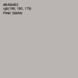 #BAB4B3 - Pink Swan Color Image